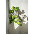 Vase Trendy Concrete - M