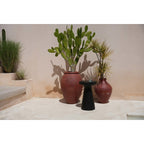 Galdiņš Fiji Black