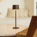 STALINĖ LEMPA DAVID MOCHA BROWN