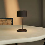 STALINĖ LEMPA DAVID MOCHA BROWN