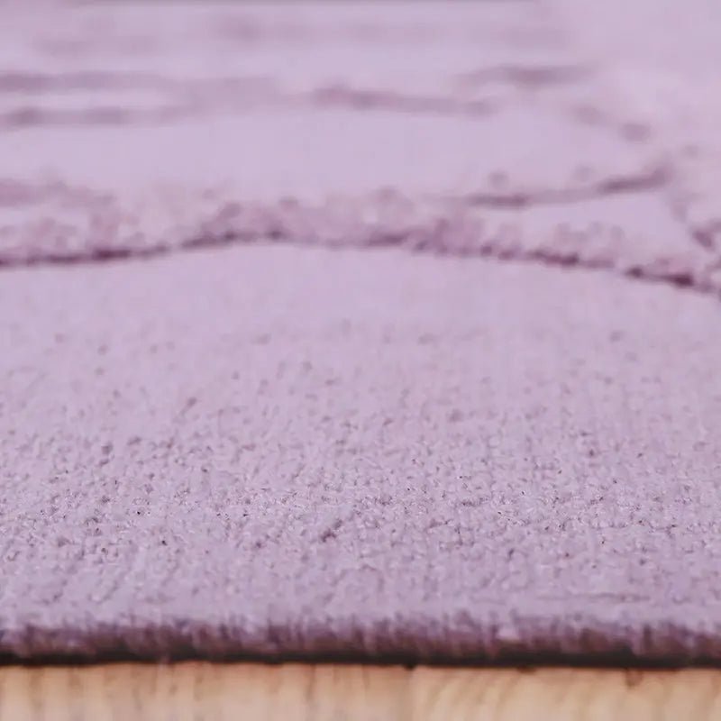 Carpet Eemee Purple 170X110
