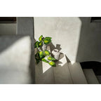 Vāze Trendy Concrete - L