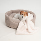 Guļvieta Mīlulim Paddy Boucle Grevel