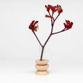 Totem Wooden Vase - Short Nº 4